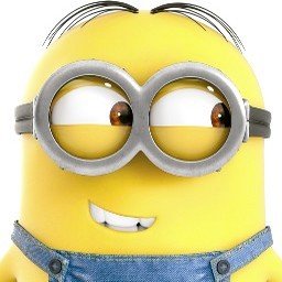 A minion girl who enjoys playing CTFs with interests in violon and arts.. CTF Player @Arr3stY0u