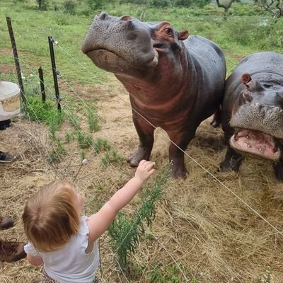 mikewidlake's profile picture. Englishman living in South Africa. Arsenal Fan. Turn up the music. Save the Rhinos