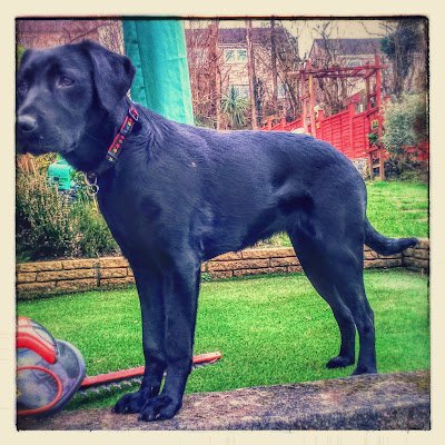 Malcolm06641225's profile picture. 