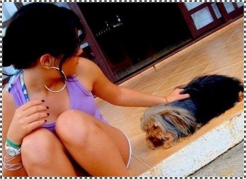 - me segue , 
que sigo ttodos de voltaa =B