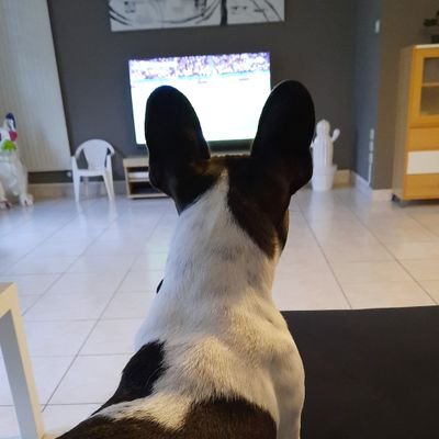 PoirierMatthie2's profile picture. 