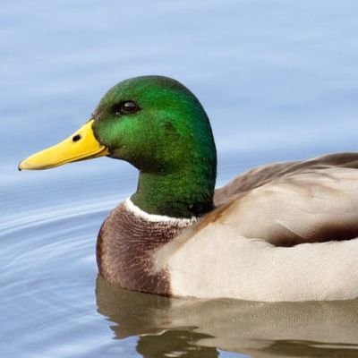 un amante de la agricultura en la que se respira aire puro, visca barca