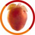WCM Cardiovascular Research Institute (CVRI) (@wcm_cvri) Twitter profile photo WCM Cardiovascular Research Institute (CVRI) (@wcm_cvri) Twitter profile photo