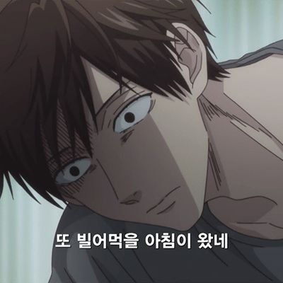 농놀최고