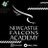 Academy_Falcons