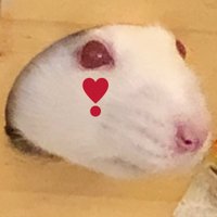 m (@bubulubuluvr) 's Twitter Profile