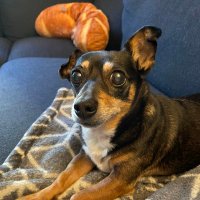 NPR Tiny Desk (@nprtinydesk) 's Twitter Profile