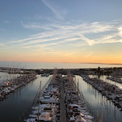 remondine_'s profile picture. 