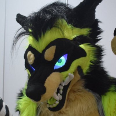 🥩 Hi, I’m Yuzu!! 💕 Radioactive coyote, confirmed snarly girl, talk to me about maws!! London based @MakeAFur suiter uwu 🥩 ✨ Main acc: @ShuckHyena ✨NSFW!!