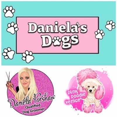 🐶 Qualified Dog Groomer 🎥PhotoFilmDogStylistSetHandler 🎬TV Magazine Radio 🐩Brand Owner #PinkPoodleVenice YouTube DanielaForshaw Bio on website