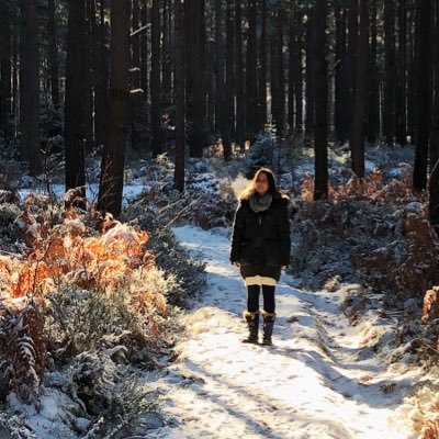 ISPhotoVideo's profile picture. Video editor & photographer • occasional composer of music • big fan of trees 🌲