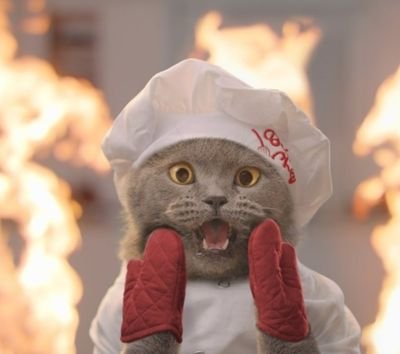 ChefFreshMeal's profile picture. Not Front Running Institutions 😹😴😹