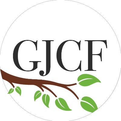 The Guthy-Jackson Charitable Foundation is a nonprofit that funds research to cure Neuromyelitis Optica (NMO), that causes blindness and / or paralysis.