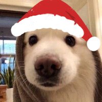 JAVE (@jave1_) 's Twitter Profile