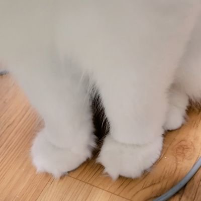 yb/cbさんのプロフィール画像