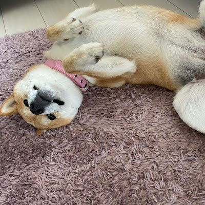 YaroomG's profile picture. 副業案件 仮想通貨 気軽にフォローしてください！ 特に仮想通貨好きはよろしくお願いします！😂 💙https://t.co/WEl2eIXp9K