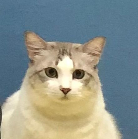 mirul_uzen's profile picture. 