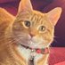 Jorts (and Jean) (@jortsthecat) Twitter profile photo Jorts (and Jean) (@jortsthecat) Twitter profile photo