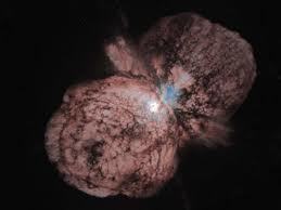 Sapwood_Down's profile picture. 