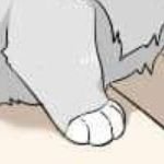 RV_Roses's profile picture. Fan acc @ItsRV_Rose

Love NamtanFilm🩵💛