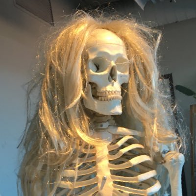 angela o concurさんのプロフィール画像