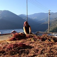 Highland Histories (@mountainmatters) 's Twitter Profile