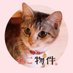 映画『劇場版 ねこ物件』🌟 Blu-ray & DVD絶賛発売中🌟 【公式】 (@neko_bukken) Twitter profile photo