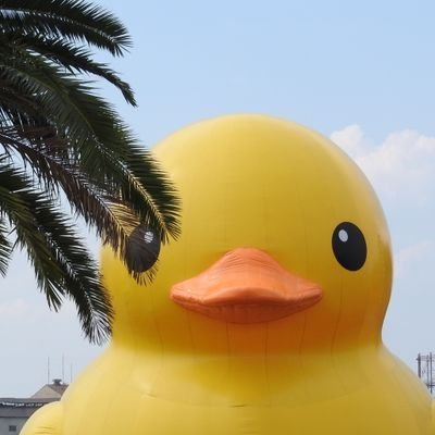 LLLoveAAA3040's profile picture. 音楽(ジャンルでの好みはない)、競馬(中央競馬の騎手を応援)、動物、歌舞伎、旅行系YouTuberさんなどなど。アカウント分けてませんのでご了承ください。自ポストは少なめ。40代♀︎