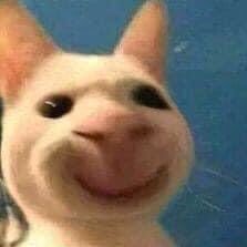 gracieory's profile picture. 