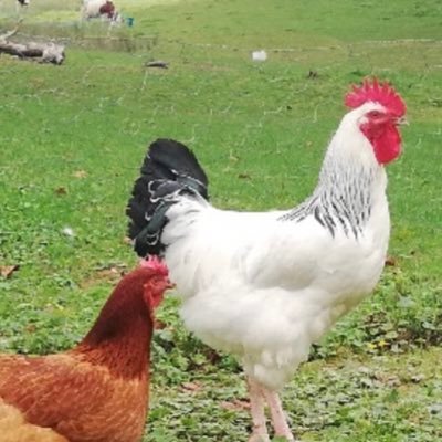 katrineB25's profile picture. 