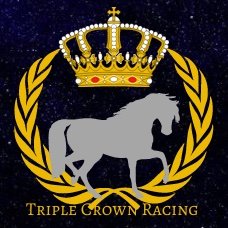 TPCrownRacing's profile picture. Owner of Triple Crown Stables @Zed_run | I enjoy Sports and Zed Run content.