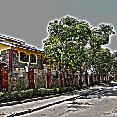 ibrahim_sadudin's profile picture. 