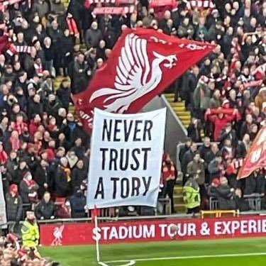 Scousered1995's profile picture. STH KK UTFR
