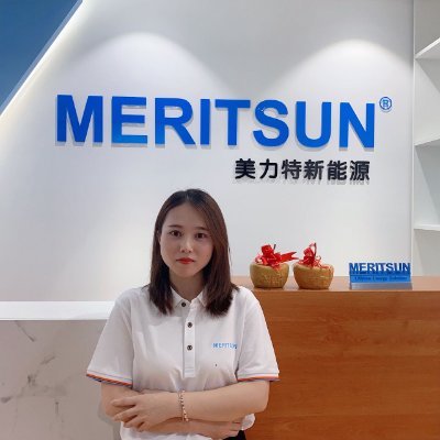 Meritsun Lithium Lifepo4 Battery provider, welcome to contact