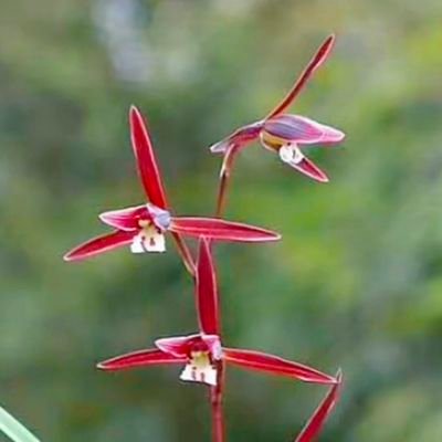 shengzp2014's profile picture. I've successfully completed the KYC process on @DoctorX_Meme.

#DoctorX #MultiversX $DRX @Binance @OKX @Bybit_Official @Coinbase @Official_Upbit @HTX_Global @