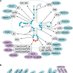 RNA modifications (@trna_mod) Twitter profile photo RNA modifications (@trna_mod) Twitter profile photo