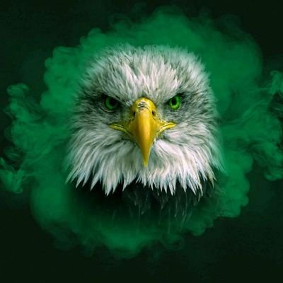 capitotimi's profile picture. ☆☆