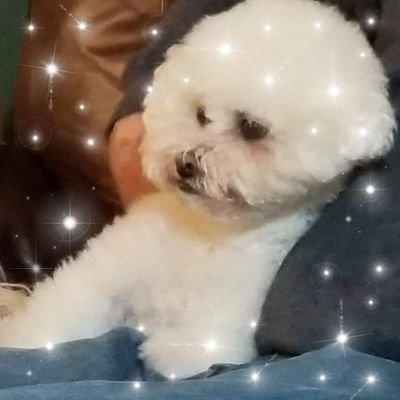 carrollromans's profile picture. 