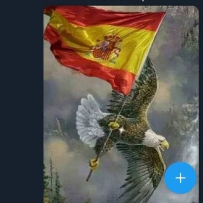 🇪🇸🇻🇪 gallego por lo tanto muy español , venezolano y anti rojo.