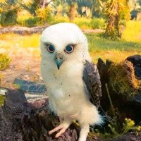 Natan Gisim (@gisimnatan) 's Twitter Profile