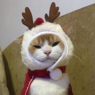 nuchของเป๊ก 😸แม่มีโชคさんのプロフィール画像