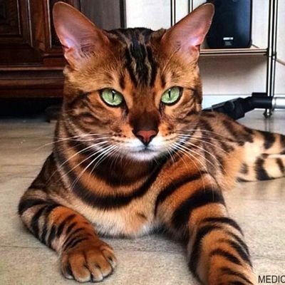 Gordana24383192's profile picture. Yes ... I am ... different from the others .