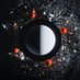 Moon on Cihangir (@moononcihangir) Twitter profile photo Moon on Cihangir (@moononcihangir) Twitter profile photo