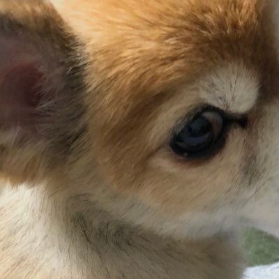 ビットとFXドル円やってます。不動産ならまあまあ詳しいかな😊 散歩好き、🚶‍♂️ アニメ､犬､ゴルフ、FXの自動売買はやる気なし、ガツガツした欲はありません。のんびりとやってます。スケベです。勧誘､商材一切受け付けません！