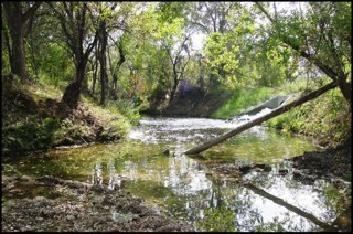 Environmental Science & Public Health Prof; Towards Sustainable Environmental Quality; Environment & Health; EIC @EnvSciTech Letters; https://t.co/HO9mEWF7VJ