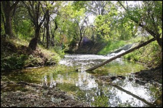 Environmental Science & Public Health Professor; Towards Sustainable Environmental Quality; Environment & Health; EIC @EnvSciTech Letters; #1stGen; he/him/his