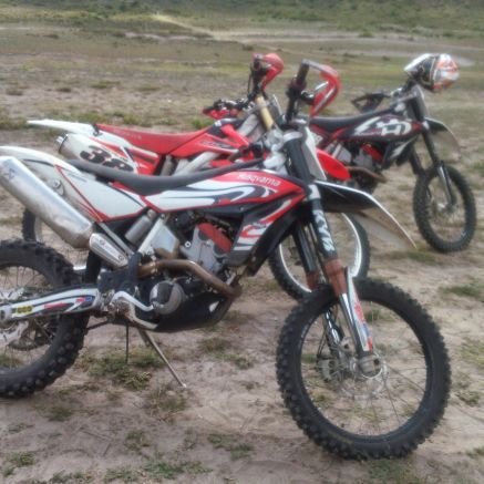 EpavonP's profile picture. 