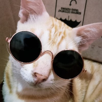 tik_etik24's profile picture. Hanya insan biasa