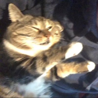 sloptt's profile picture. 