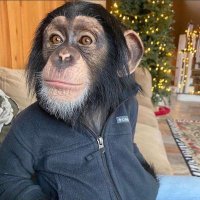 blank (@arjun449344) 's Twitter Profile